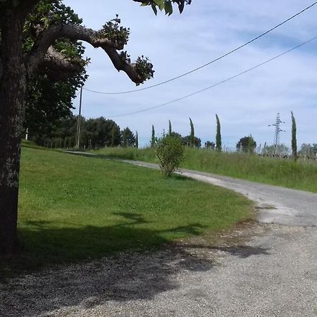 Gite Lieu Dit Gautier Civrac-de-Blaye Buitenkant foto